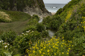 Картинка природа побережье берег море