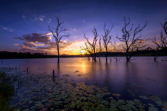 Картинка природа восходы закаты рассвет