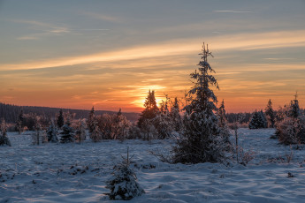 Картинка природа зима снег