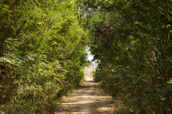 Картинка природа дороги тракт