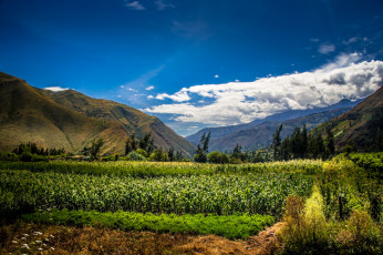 Картинка природа горы простор