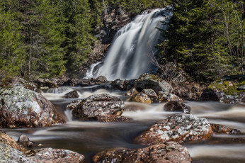 Картинка природа водопады лес река водопад