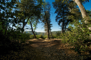 Картинка природа дороги тракт