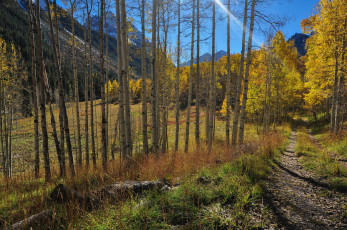 Картинка природа дороги тракт