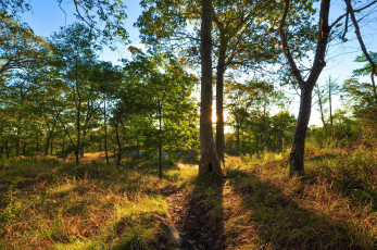 Картинка природа восходы закаты рассвет