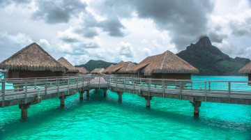 Картинка природа тропики курорт