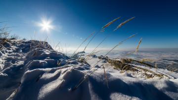 Картинка природа зима снег