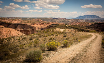 Картинка природа дороги тракт