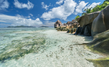 Картинка природа тропики курорт