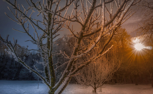 Обои картинки фото природа, зима, снег