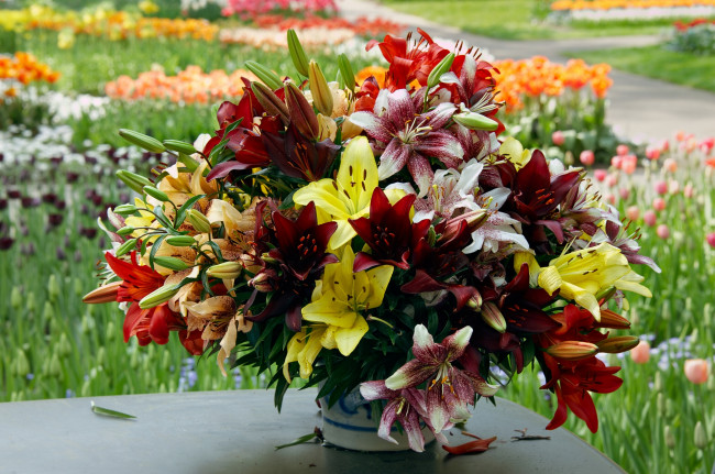 Обои картинки фото цветы, букеты,  композиции, разноцветные, стол