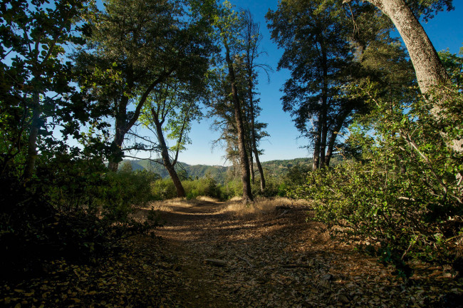 Обои картинки фото природа, дороги, тракт