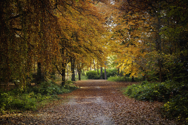 Обои картинки фото природа, дороги, тракт