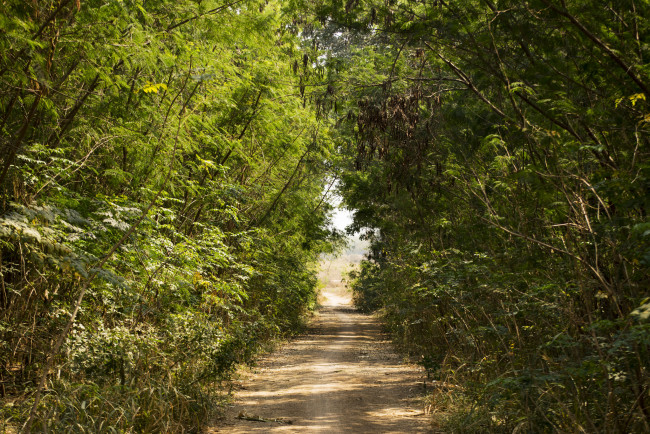 Обои картинки фото природа, дороги, тракт