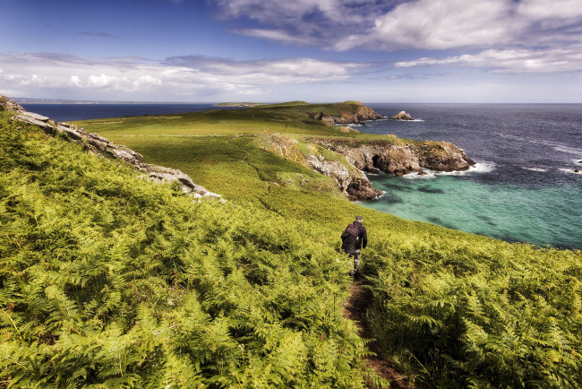 Обои картинки фото природа, побережье, берег, море