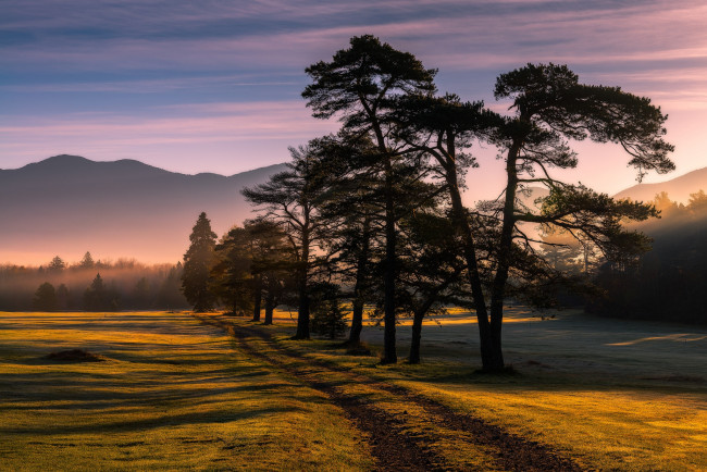 Обои картинки фото природа, восходы, закаты, рассвет