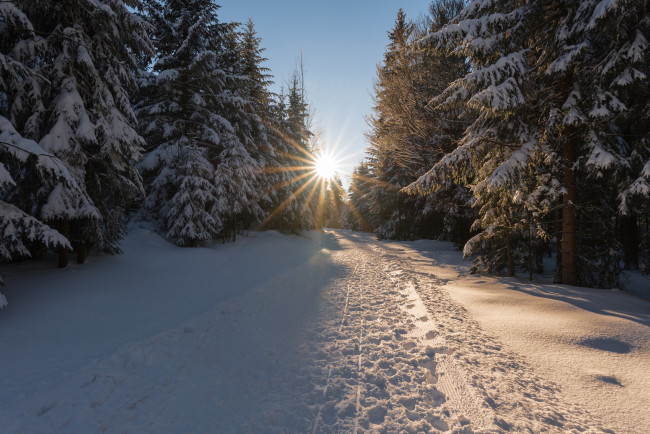 Обои картинки фото природа, зима, снег