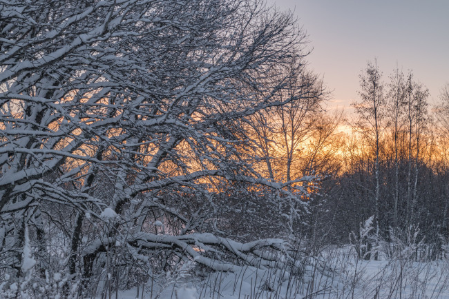 Обои картинки фото природа, зима, снег