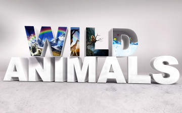 Картинка 3д+графика другое+ other буквы животные природа