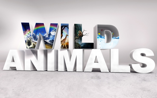 Обои картинки фото 3д графика, другое , other, буквы, животные, природа