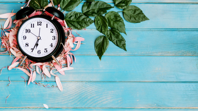 Обои картинки фото разное, часы,  часовые механизмы, будильник