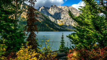 Картинка jenny+lake grand+tetons wyoming природа реки озера jenny lake grand tetons