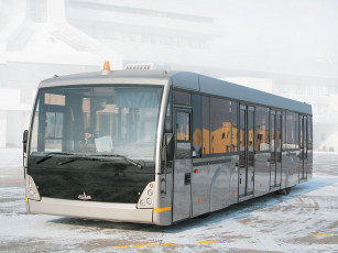 Картинка автомобили автобусы