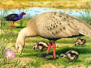 Картинка рисованные животные