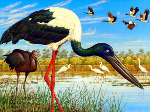 обоя рисованные, животные