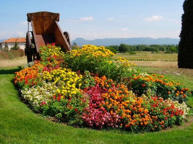 Обои картинки фото франциЯ1, цветы, разные, вместе