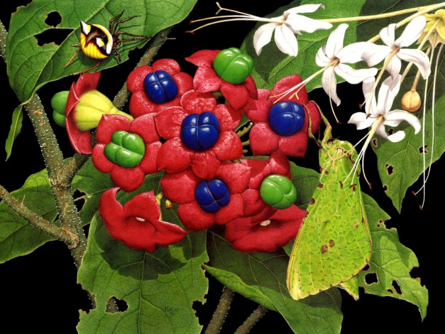 Обои картинки фото рисованные, цветы