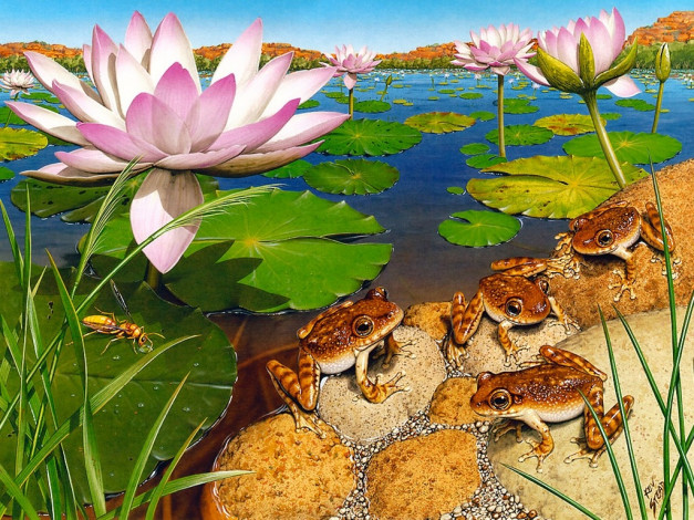 Обои картинки фото рисованные, животные, лягушки