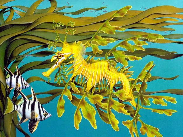 Обои картинки фото рисованные, животные, морской, конек, рыба