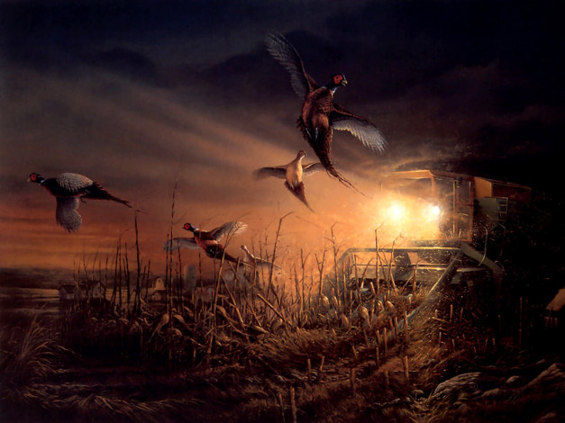 Обои картинки фото рисованные, животные, птицы, утки