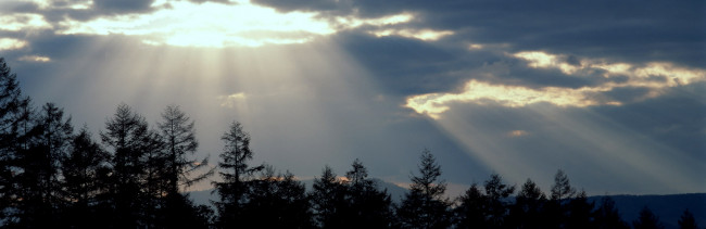 Обои картинки фото природа