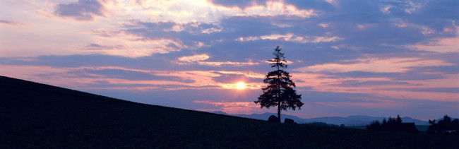 Обои картинки фото природа