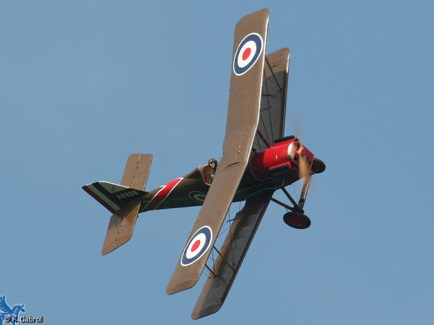 Обои картинки фото авиация, лёгкие, одномоторные, самолёты