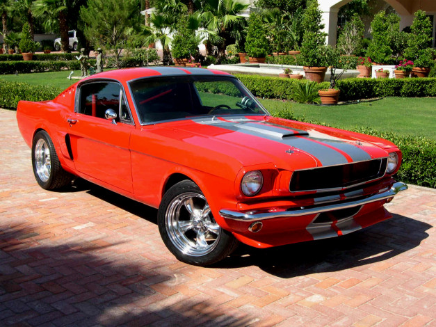 Обои картинки фото автомобили, ford