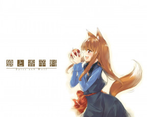 Картинка аниме spice and wolf