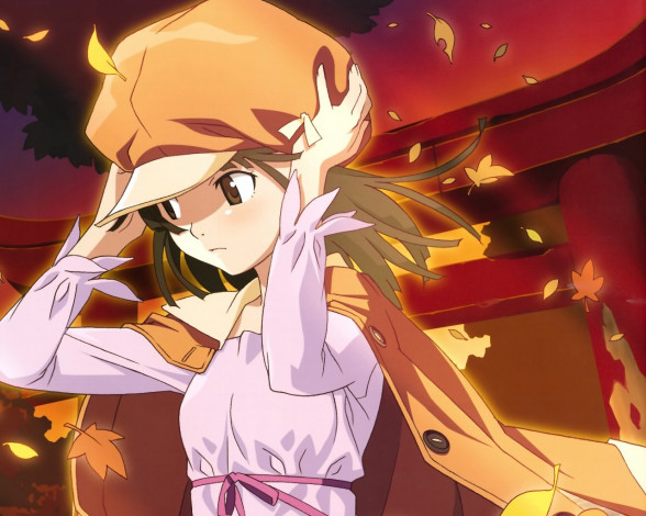 Обои картинки фото аниме, bakemonogatari, sengoku nadeko, девушка, шляпа, пиджак, листья, ветер, храм