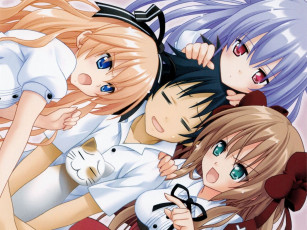 Картинка аниме mayoi neko overrun