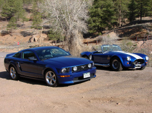 Картинка автомобили разные вместе