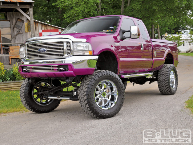 Обои картинки фото 1999, ford, f250, super, duty, автомобили, custom, pick, up