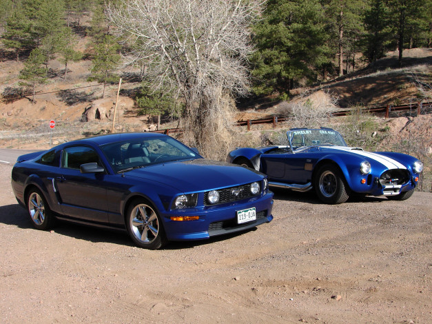 Обои картинки фото автомобили, разные, вместе