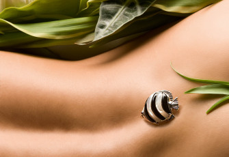 Картинка разное украшения аксессуары веера спина рыба брошь листья