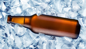 Картинка еда напитки пиво кусочки лёд кубики