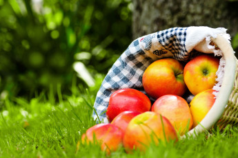 Картинка еда Яблоки корзинка
