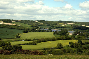 Картинка природа поля зелень река деревья пейзаж