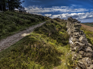 Картинка природа дороги изгородь лес тропинка каменная