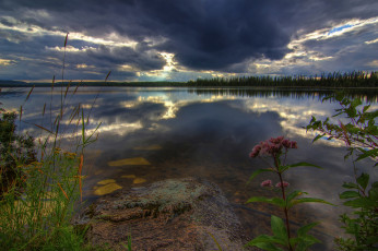 Картинка природа восходы закаты лес река тучи заря